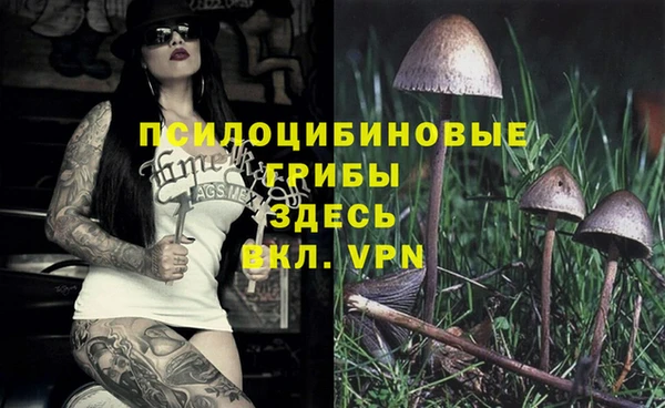 a pvp Алексин