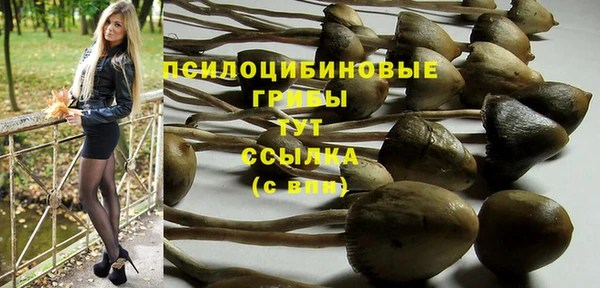 a pvp Алексин